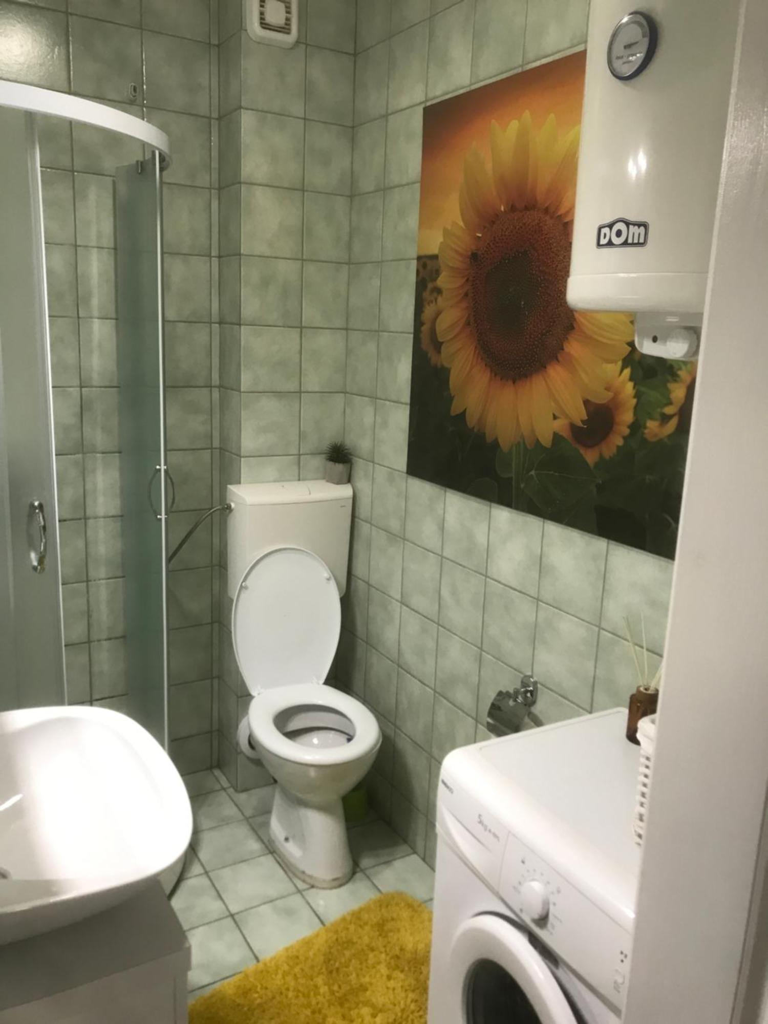 Apartman Kristina Free Parking Novi Sad Exteriör bild