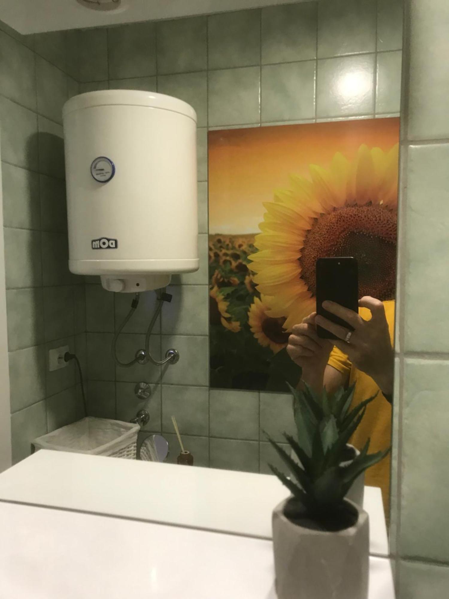 Apartman Kristina Free Parking Novi Sad Exteriör bild
